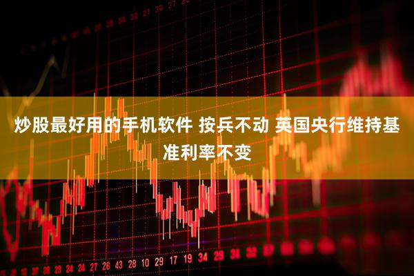 炒股最好用的手机软件 按兵不动 英国央行维持基准利率不变