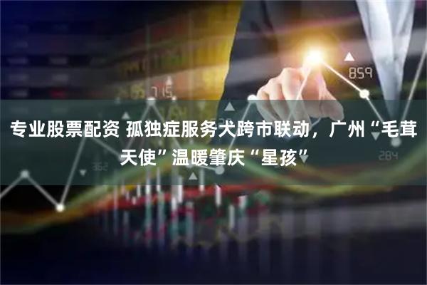 专业股票配资 孤独症服务犬跨市联动，广州“毛茸天使”温暖肇庆“星孩”